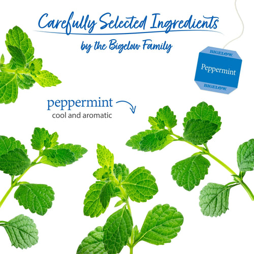 Bigelow Peppermint Herbal Tea Bags